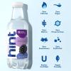 imageHint Bottled Water Blackberry and Cherry Purified Flavored Water with Zero Calories Sugar Free Natural Flavors  16 Fl Oz Pack of 24Blackberry