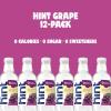imageHint Bottled Water Blackberry and Cherry Purified Flavored Water with Zero Calories Sugar Free Natural Flavors  16 Fl Oz Pack of 24Grape