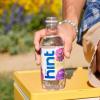 imageHint Bottled Water Blackberry and Cherry Purified Flavored Water with Zero Calories Sugar Free Natural Flavors  16 Fl Oz Pack of 24Grape