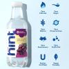 imageHint Bottled Water Blackberry and Cherry Purified Flavored Water with Zero Calories Sugar Free Natural Flavors  16 Fl Oz Pack of 24Grape