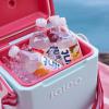 imageHint Bottled Water Blackberry and Cherry Purified Flavored Water with Zero Calories Sugar Free Natural Flavors  16 Fl Oz Pack of 24Raspberry