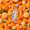 imageHint Bottled Water Blackberry and Cherry Purified Flavored Water with Zero Calories Sugar Free Natural Flavors  16 Fl Oz Pack of 24Tangerine