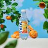 imageHint Bottled Water Blackberry and Cherry Purified Flavored Water with Zero Calories Sugar Free Natural Flavors  16 Fl Oz Pack of 24Tangerine