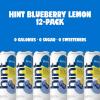 imageHint FruitInfused Canned Water Blackberry  Purified Flavored Water with Zero Calories Natural Flavors and Sugar Free  12 Fl Oz Cans Pack of 12Blueberry Lemon