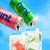 imageHint Sparkling Water Pink Grapefruit  Carbonated FruitInfused Water with Electrolytes Zero Calories and Sugar Free  12 Fl Oz Cans Pack of 12Lime