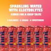 imageHint Sparkling Water Pink Grapefruit  Carbonated FruitInfused Water with Electrolytes Zero Calories and Sugar Free  12 Fl Oz Cans Pack of 12Peach Raspberry