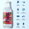 imageHint FruitInfused Bottled Water Peppermint Bark Sugar Free Flavored Water with Zero Calories Naturally Flavored and No Artificial Sweeteners  16 Fl Oz Pack of 12