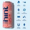 imageHint Sparkling Water Peach Raspberry  Canned Flavored Water Beverages with Electrolytes Zero Calories and Sugar Free  12 Fl Oz Cans Pack of 24Grapefruit