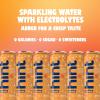 imageHint Sparkling Water Peach Raspberry  Canned Flavored Water Beverages with Electrolytes Zero Calories and Sugar Free  12 Fl Oz Cans Pack of 24Tangerine