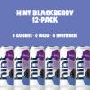 imageHint FruitInfused Canned Water Blackberry  Purified Flavored Water with Zero Calories Natural Flavors and Sugar Free  12 Fl Oz Cans Pack of 24Blackberry