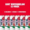 imageHint FruitInfused Canned Water Blackberry  Purified Flavored Water with Zero Calories Natural Flavors and Sugar Free  12 Fl Oz Cans Pack of 24Watermelon
